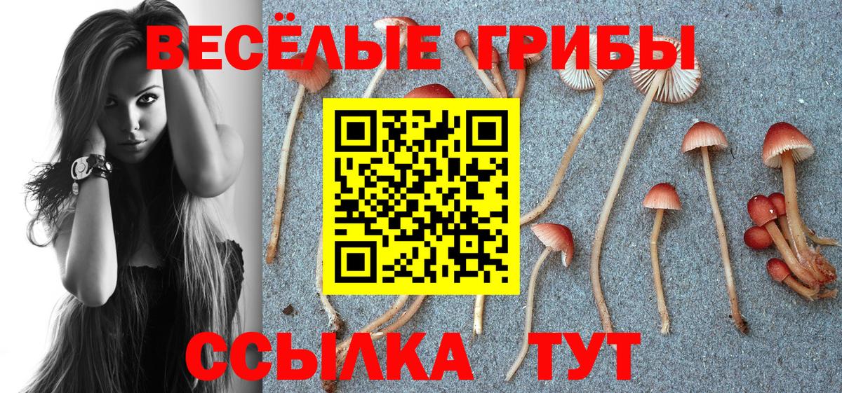 Галлюциногенные грибы ЛСД Энгельс